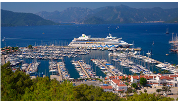 Netsel Marina Transfer